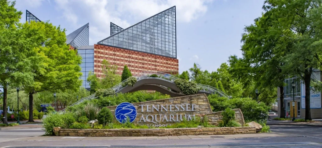 Tennessee Aquarium